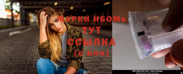 хмурый Арсеньев