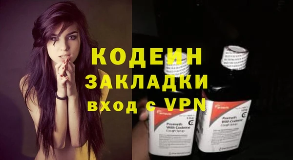 хмурый Арсеньев