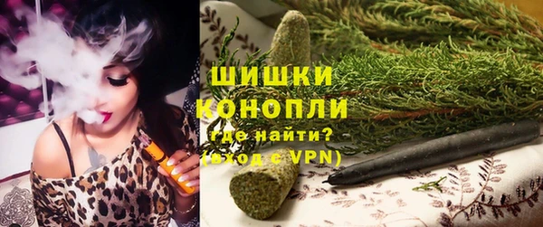 ПСИЛОЦИБИНОВЫЕ ГРИБЫ Покачи