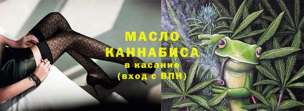 хмурый Арсеньев