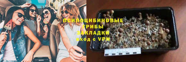 ПСИЛОЦИБИНОВЫЕ ГРИБЫ Покачи